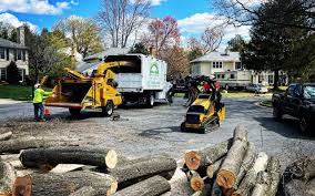 Best Tree Health Inspection  in Port Ewen, NY